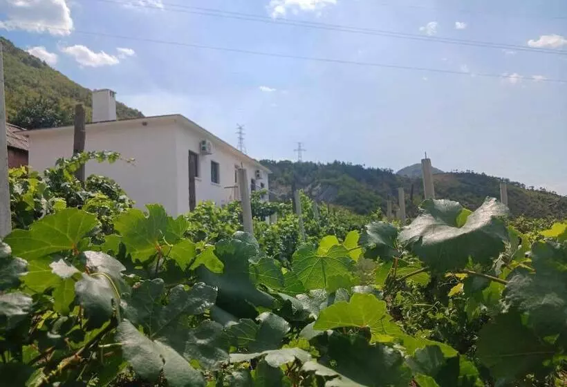 ペンション Bujtina Dalmacia