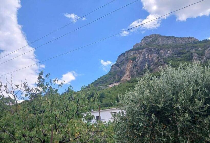 Majatalo Bujtina Dalmacia