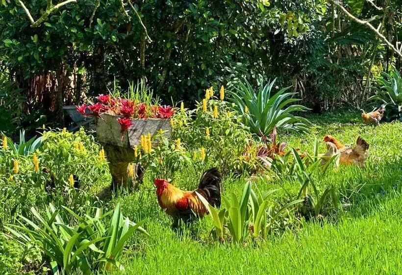 Majatalo El Ensueño Ecohostal & Glamping