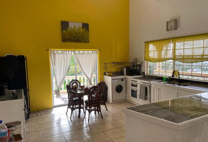 پانسیون Tropical Harbour View