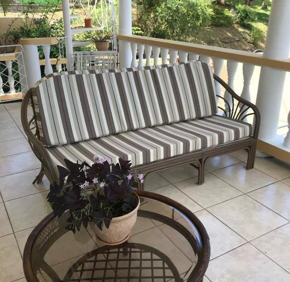 پانسیون Tropical Harbour View