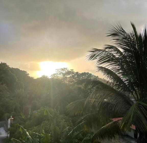 پانسیون Tropical Harbour View