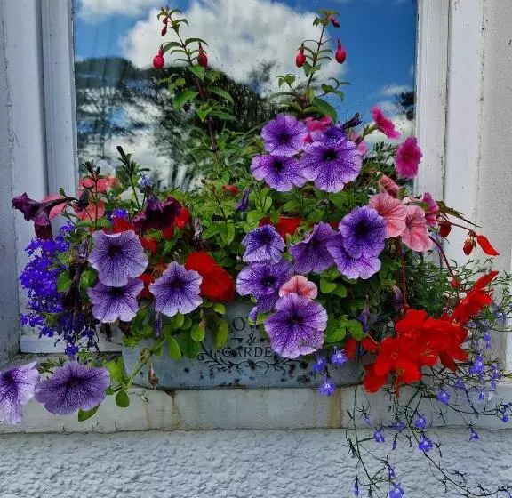 Aamiaismajoitus (B&B) Drumee Lodge Boutique B And B, Newcastle, County Down