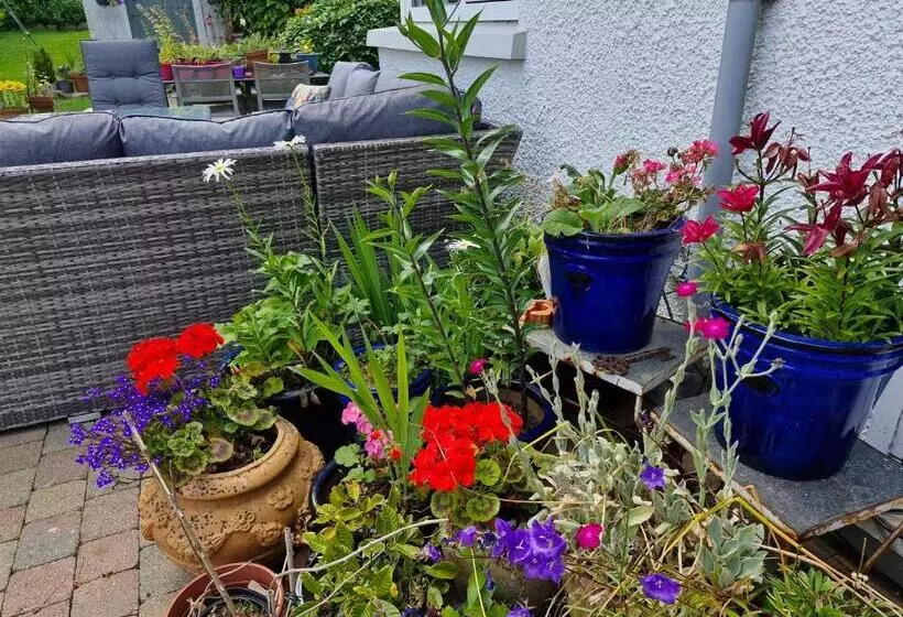 Aamiaismajoitus (B&B) Drumee Lodge Boutique B And B, Newcastle, County Down