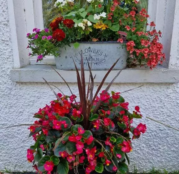 Aamiaismajoitus (B&B) Drumee Lodge Boutique B And B, Newcastle, County Down