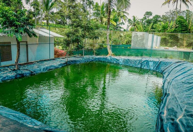 Green Auro By Bob Hotels