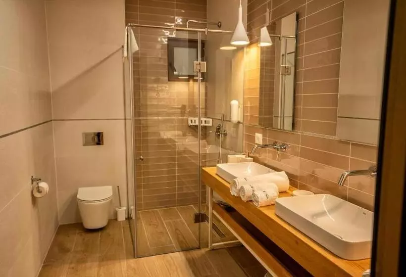 Hotelli Curtea Veche