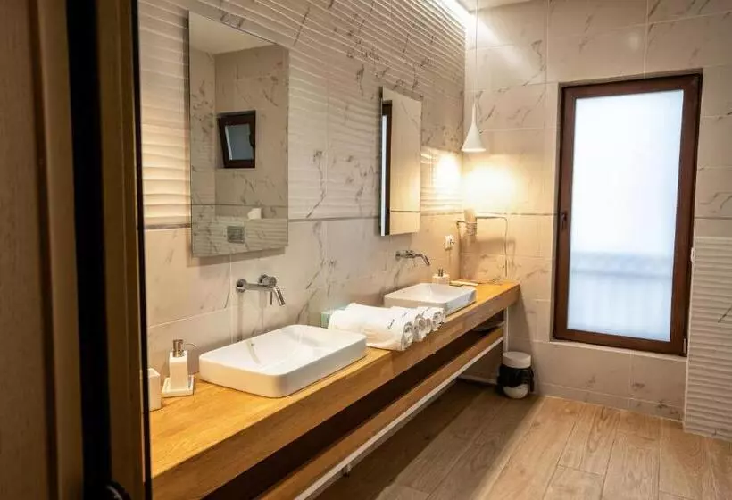 Hotelli Curtea Veche