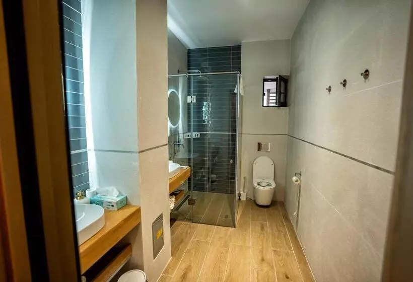 Hotelli Curtea Veche