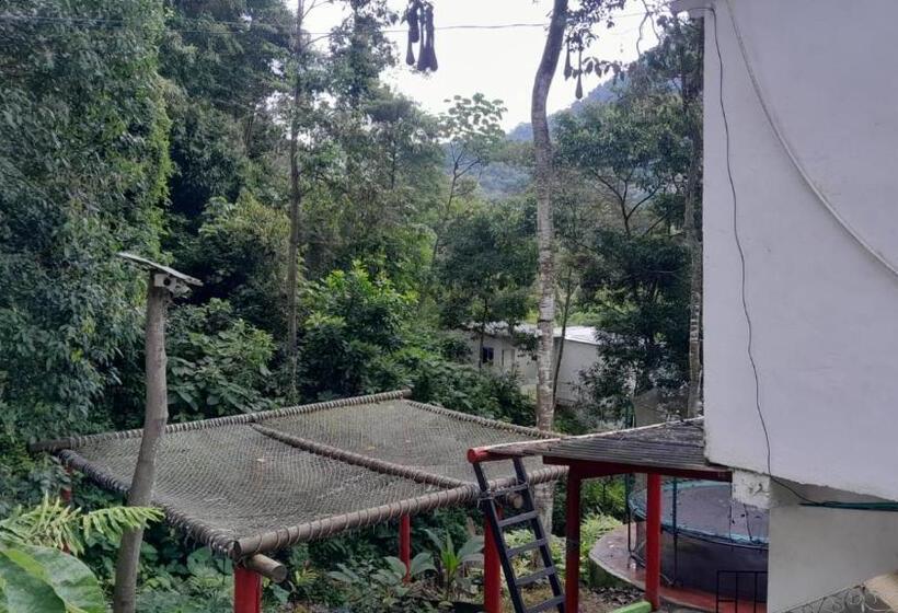 پانسیون Hostal La Gran Ceci