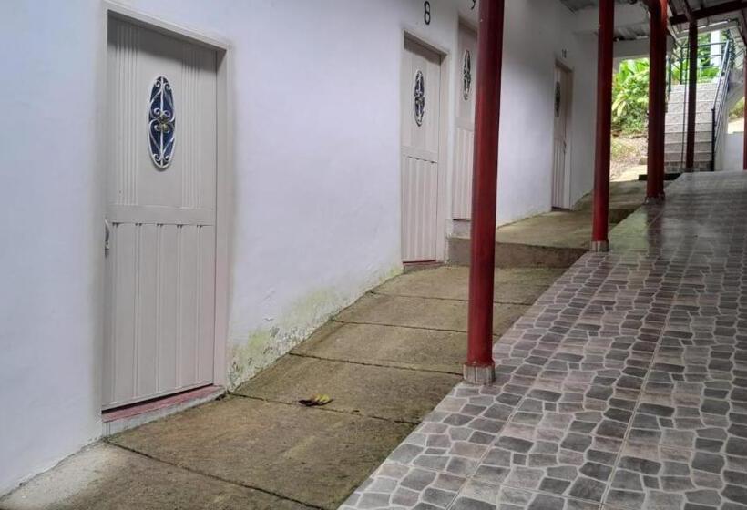 پانسیون Hostal La Gran Ceci