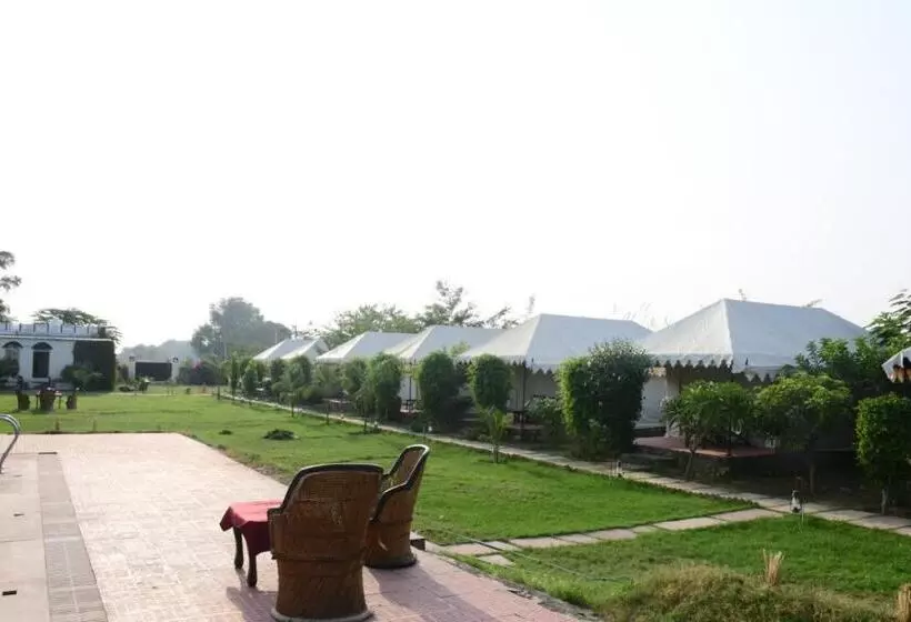リゾートホテル Jungle Enclave   Ranthambore