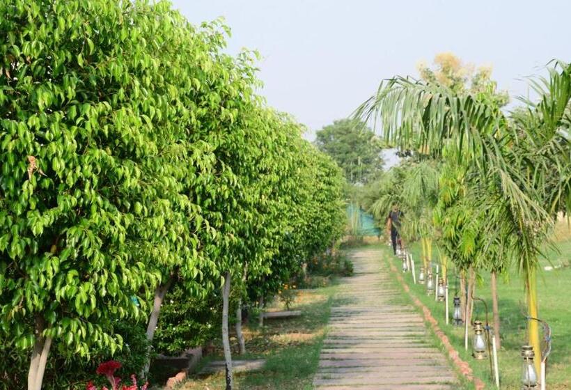 אתר נופש Jungle Enclave Ranthambore