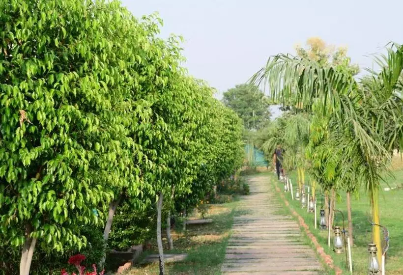 リゾートホテル Jungle Enclave   Ranthambore