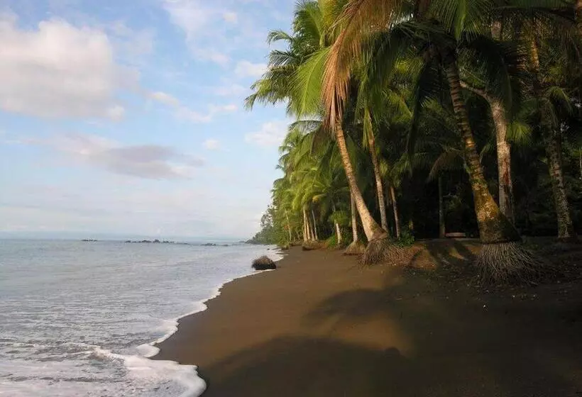 ユースホステル Cabaña Vikana