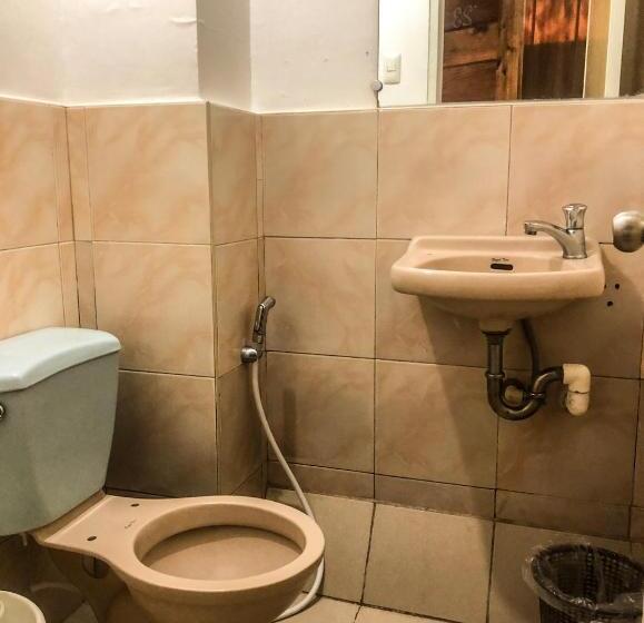 הוסטל Leila Pension House