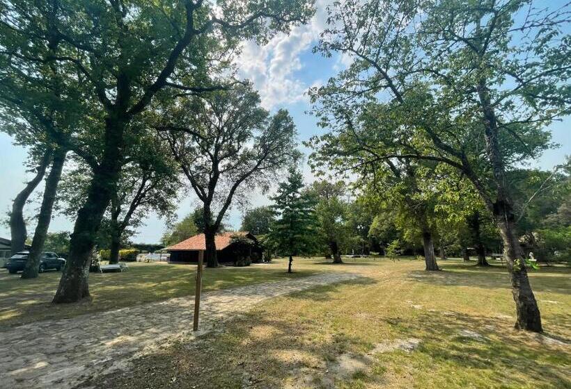 Bed and Breakfast Chambre D Hôtes Airial L Uni Vert D Azur