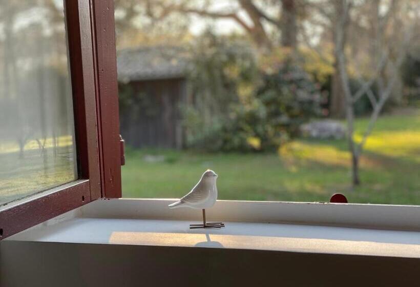 Bed and Breakfast Chambre D Hôtes Airial L Uni Vert D Azur