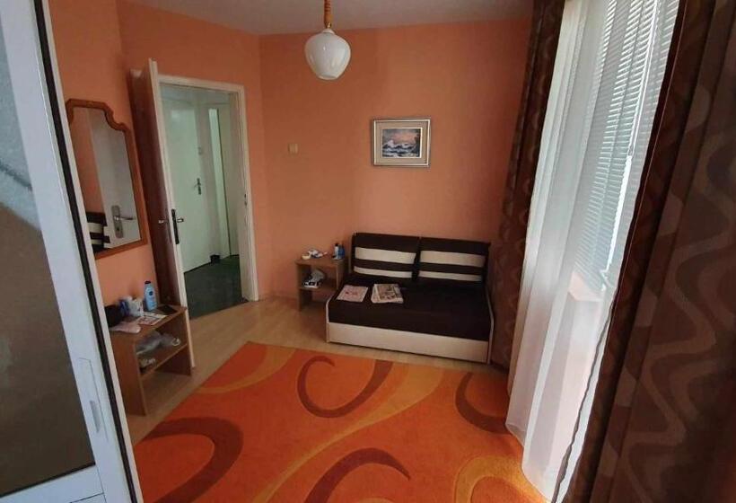 بنسيون стаи за гости ники тити