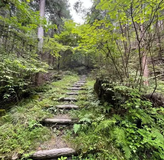 Majatalo Homestay Hanihoheto