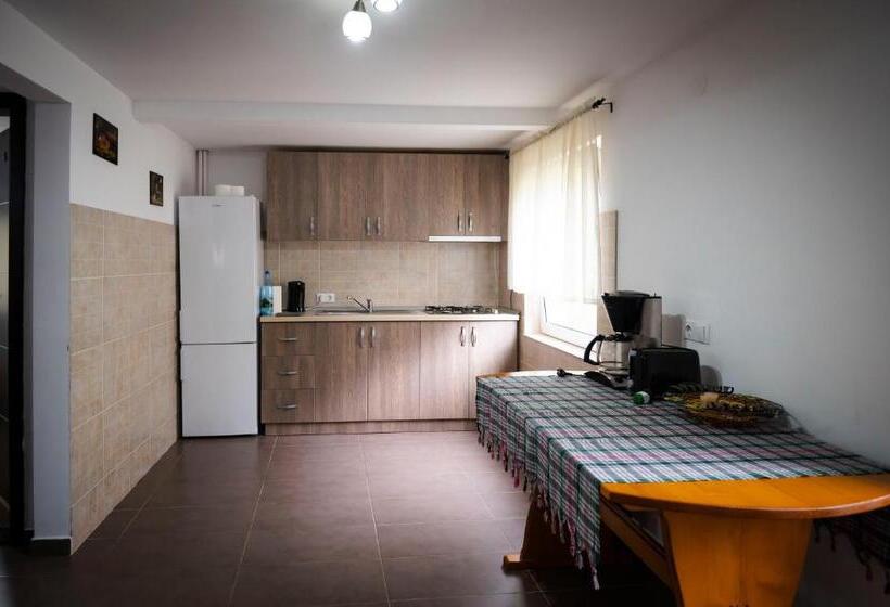 پانسیون Roua Muntelui