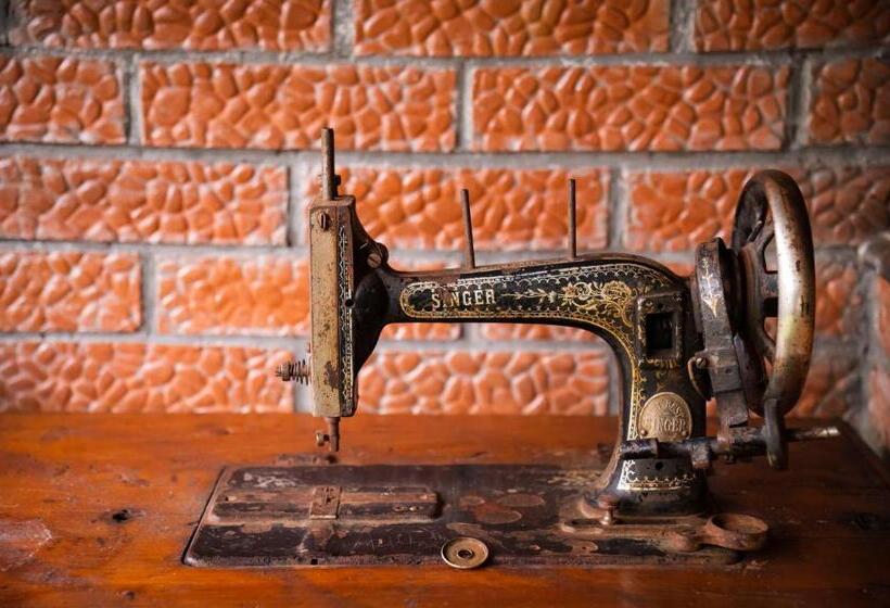 پانسیون Roua Muntelui