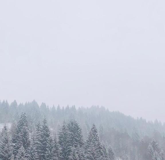 پانسیون Roua Muntelui