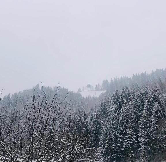 پانسیون Roua Muntelui