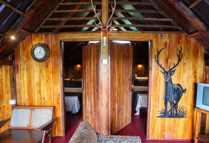 ホテル Royal Mount Family Cabana Rest