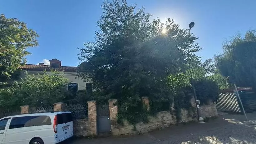 پانسیون King S Neighbours