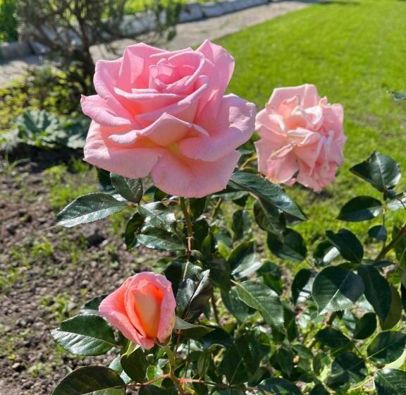 تختخواب و صبحانه L Hirondelle Du Printemps 2