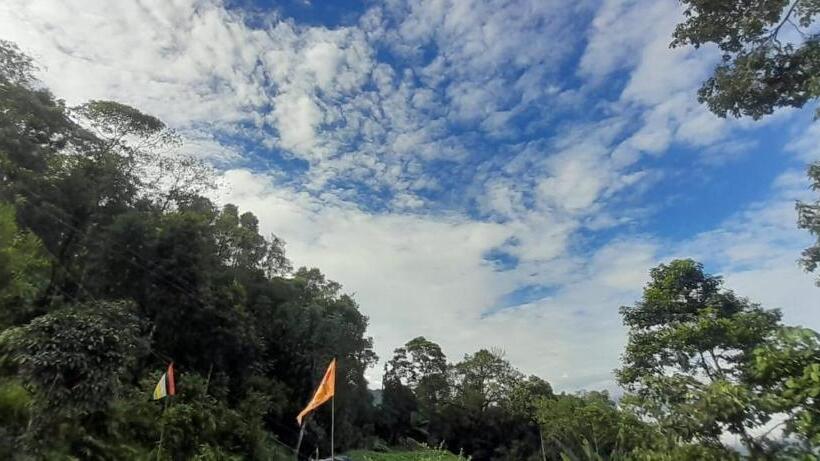 酒店 Triveni Organic Farmstay & Cafe