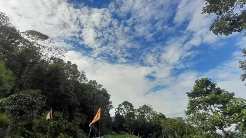 ホテル Triveni Organic Farmstay & Cafe