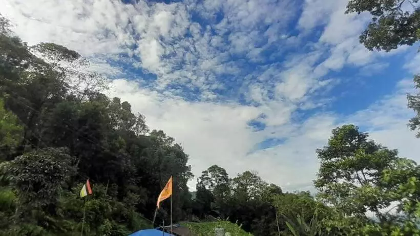 ホテル Triveni Organic Farmstay & Cafe