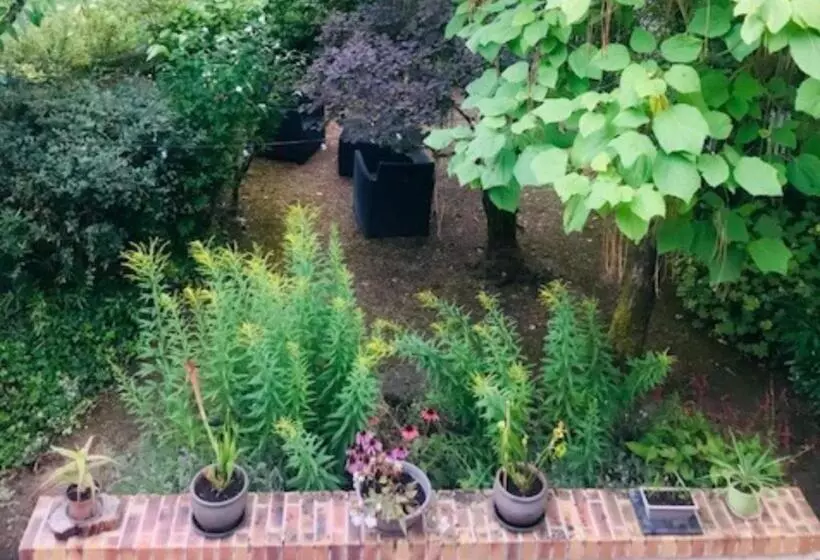 Majatalo Chambres D Hôtes Le Jardin De La Pichonnerie Proche Du Zoo De Beauval & Des Chateaux De La Loire
