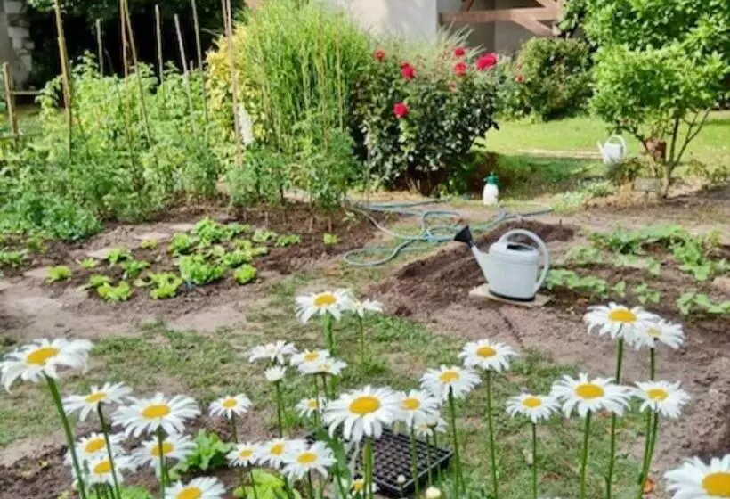 Majatalo Chambres D Hôtes Le Jardin De La Pichonnerie Proche Du Zoo De Beauval & Des Chateaux De La Loire