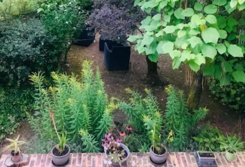 Majatalo Chambres D Hôtes Le Jardin De La Pichonnerie Proche Du Zoo De Beauval & Des Chateaux De La Loire