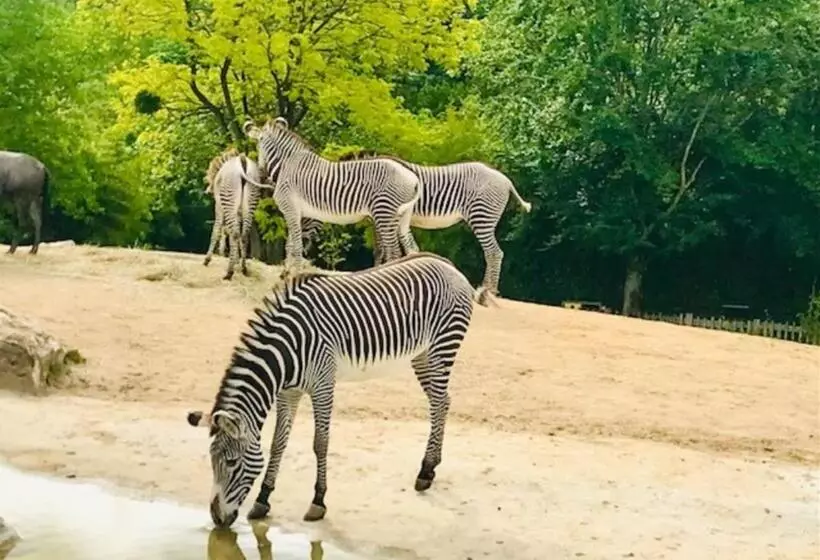 Majatalo Chambres D Hôtes Le Jardin De La Pichonnerie Proche Du Zoo De Beauval & Des Chateaux De La Loire