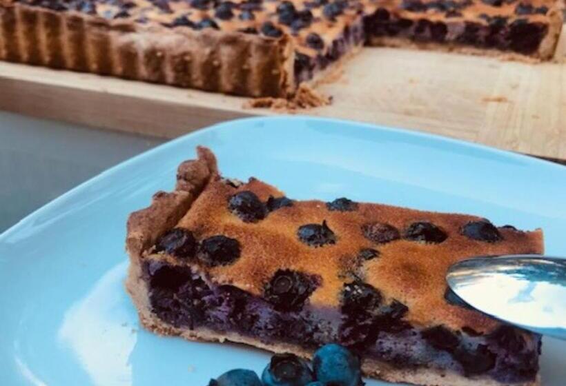 פנסיון Chambres D Hôtes Le Jardin De La Pichonnerie Proche Du Zoo De Beauval & Des Chateaux De La Loire