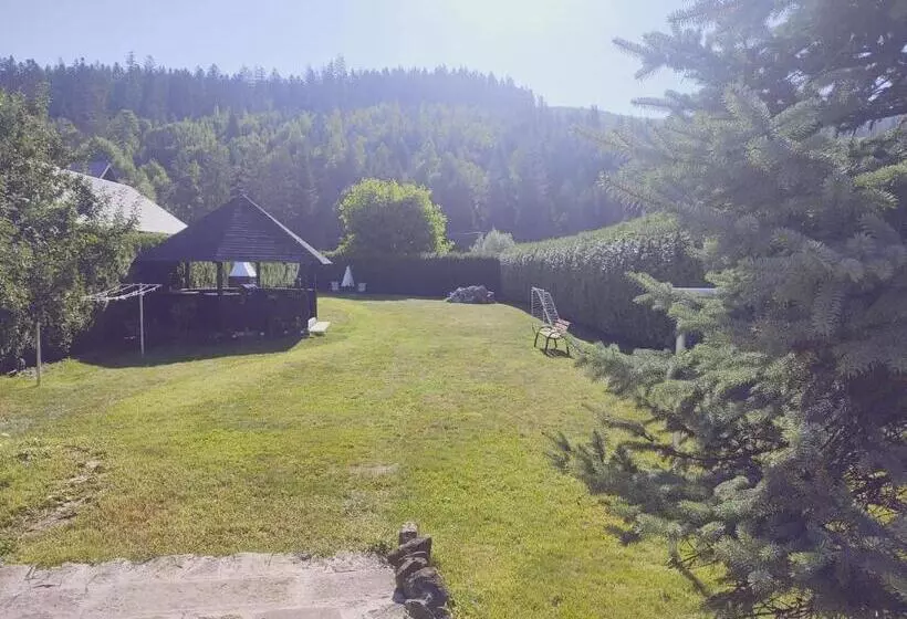 پانسیون Forest View Cottage