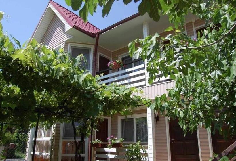 پانسیون Vila Morena