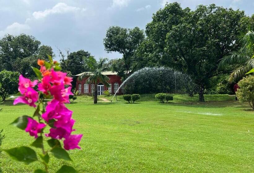 The Dream Forest, Banquet & Resorts