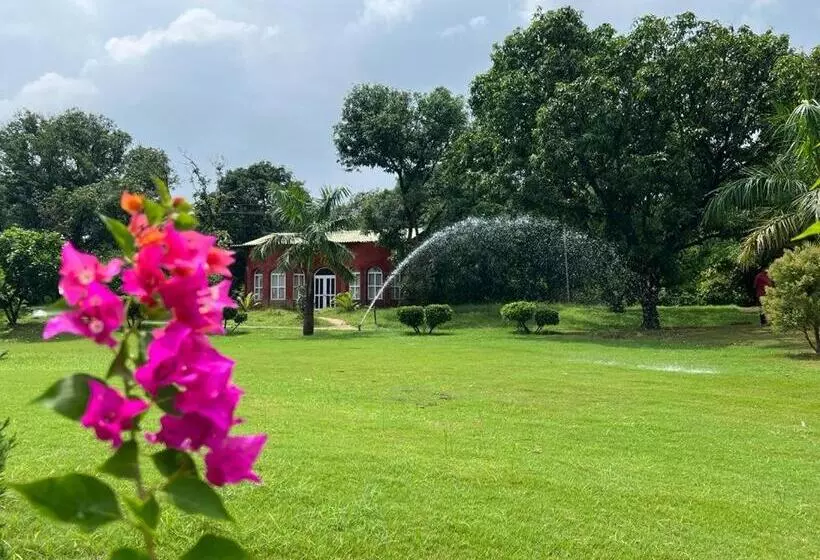 The Dream Forest, Banquet & Resorts