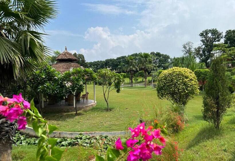 The Dream Forest, Banquet & Resorts