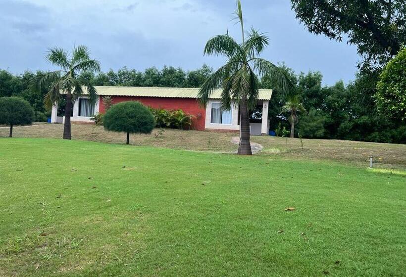 The Dream Forest, Banquet & Resorts