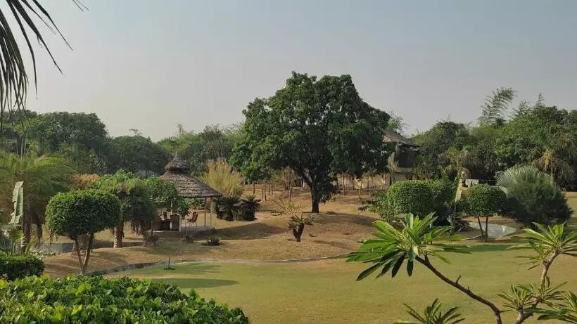 The Dream Forest, Banquet & Resorts