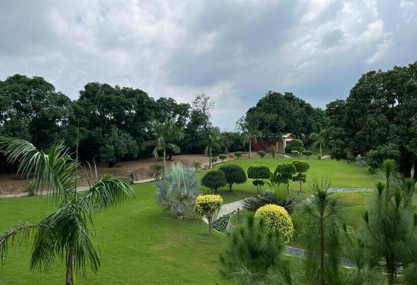 The Dream Forest, Banquet & Resorts