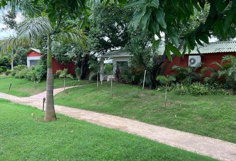 The Dream Forest, Banquet & Resorts