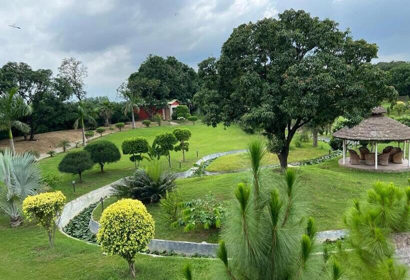 The Dream Forest, Banquet & Resorts