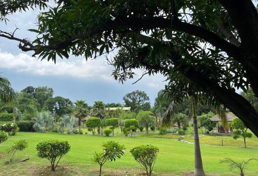 The Dream Forest, Banquet & Resorts